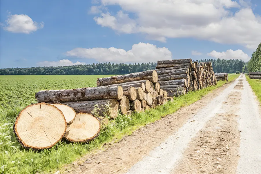 Responsibly Sourced Materials